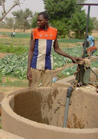Afrique, janvier et février 2006...